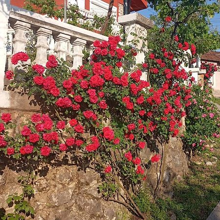 Woodstone Apartman Podgoriçe Dış mekan fotoğraf